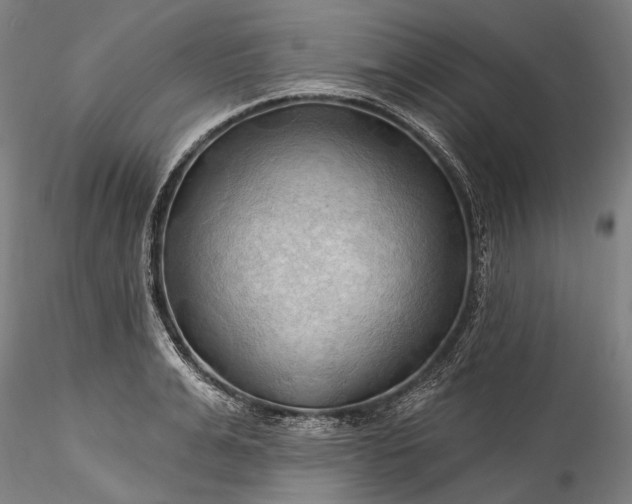 X0000115790991200911271223