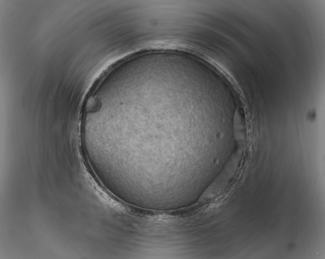 X0000115790992200911271223