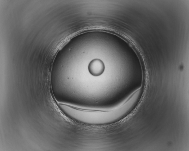 X0000115790993200911271222