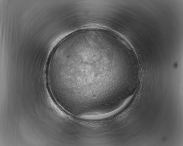 X0000115790995200911271222