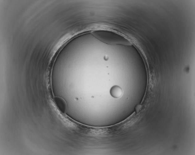 X0000115790997200911271222