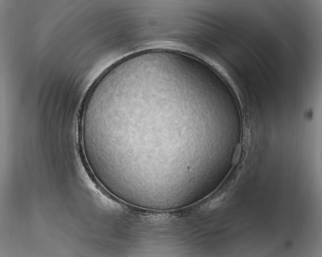 X0000115790999200911271222