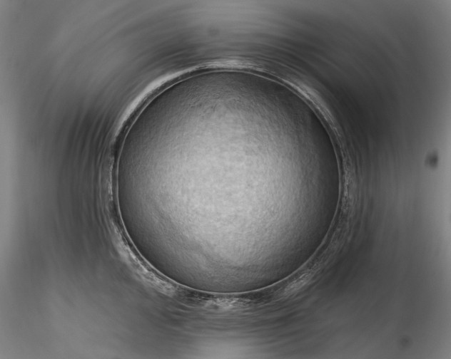 X0000115791000200911271222