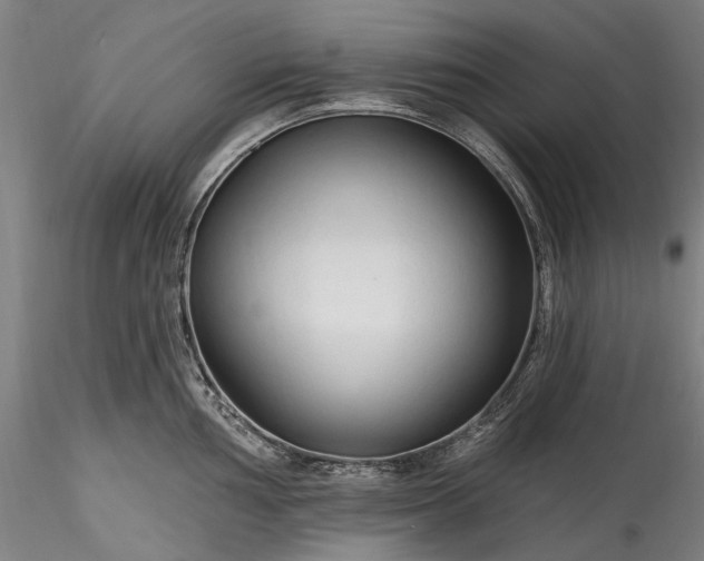 X0000115791002200911271222