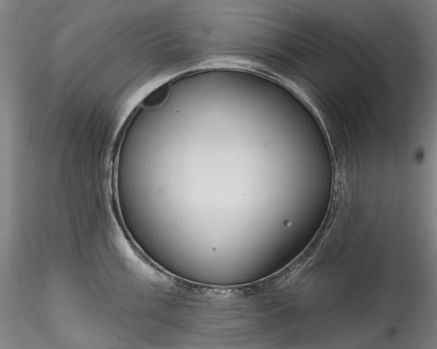 X0000115791003200911271222