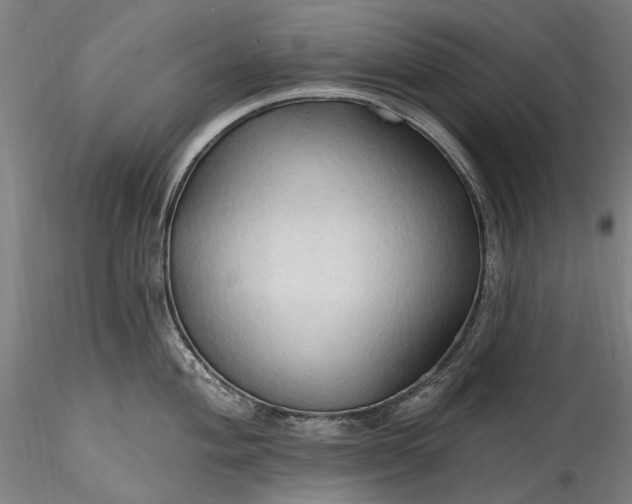 X0000115791004200911271222