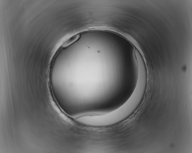 X0000115791005200911271222