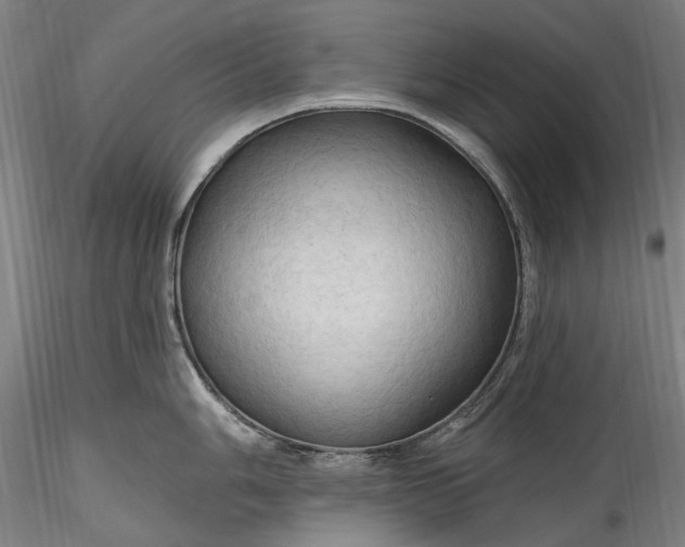 X0000115791006200911271222