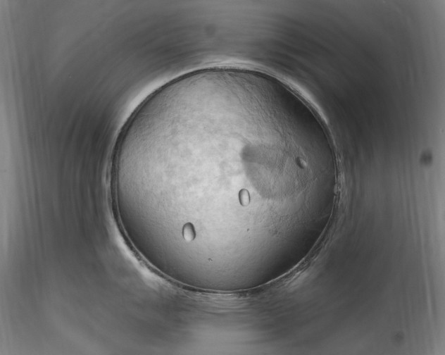 X0000115791007200911271222