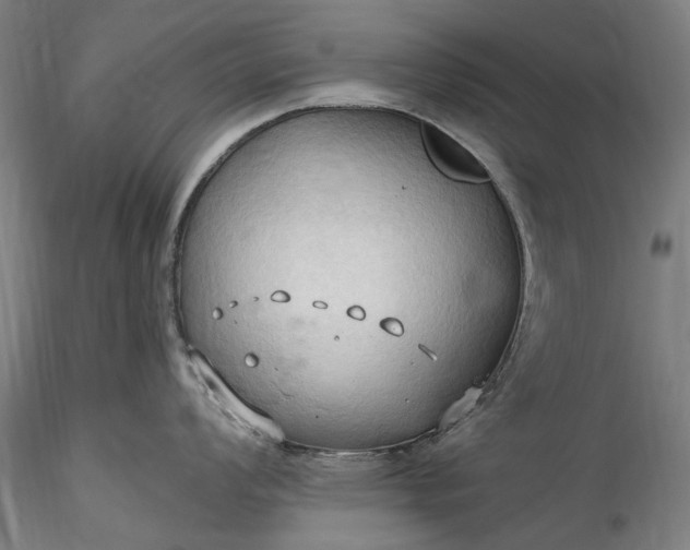 X0000115791008200911271222