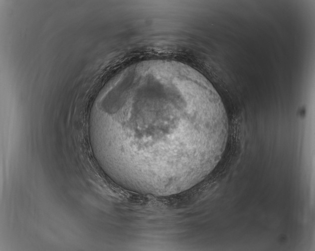 X0000115791009200911271221