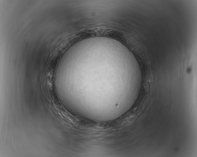 X0000115791010200911271221