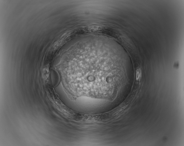 X0000115791011200911271221