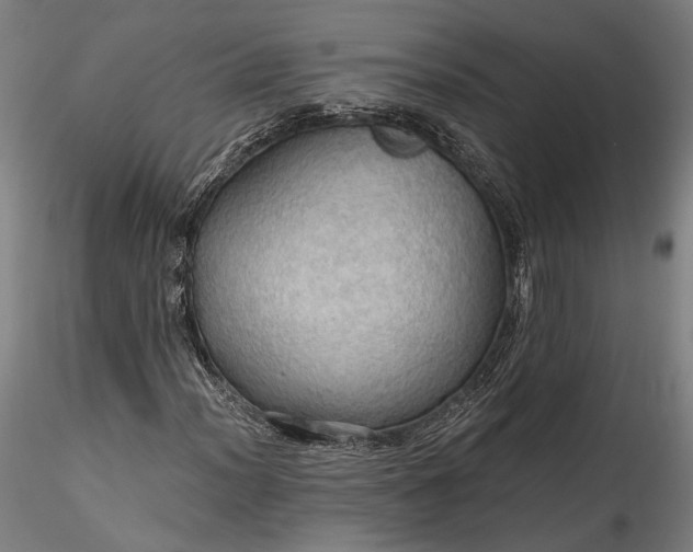 X0000115791012200911271221