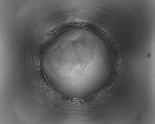 X0000115791013200911271222