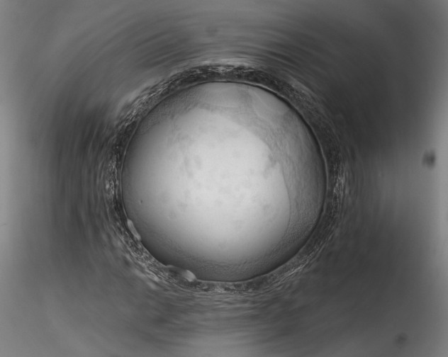 X0000115791014200911271222