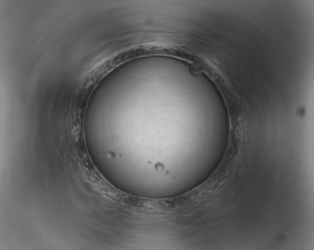 X0000115791015200911271222