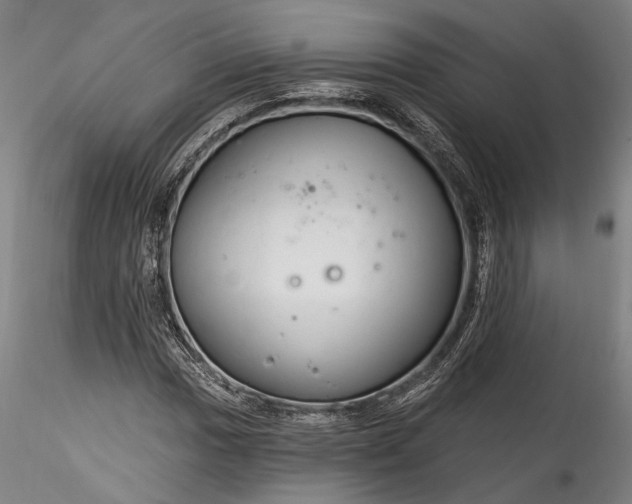 X0000115791017200911271222