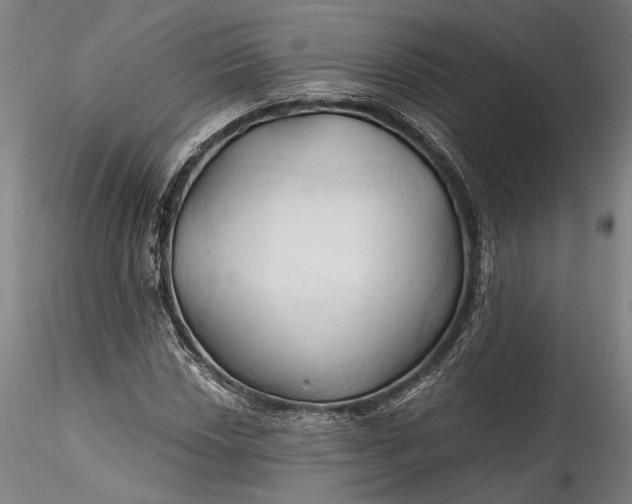 X0000115791018200911271222