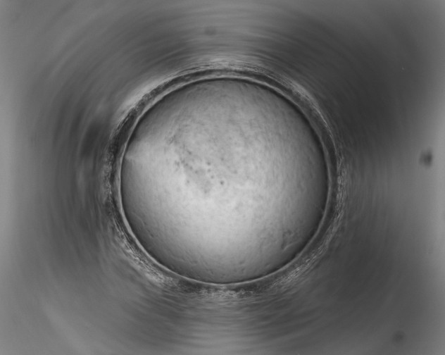 X0000115791019200911271222