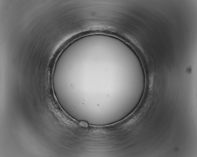 X0000115791021200911271222