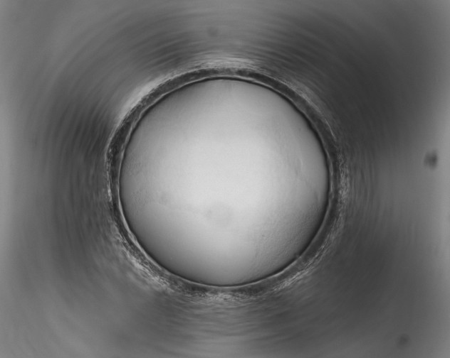 X0000115791022200911271222