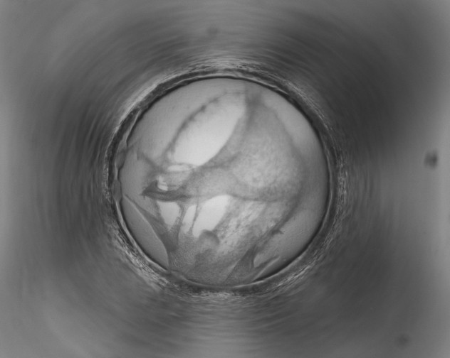 X0000115791023200911271222