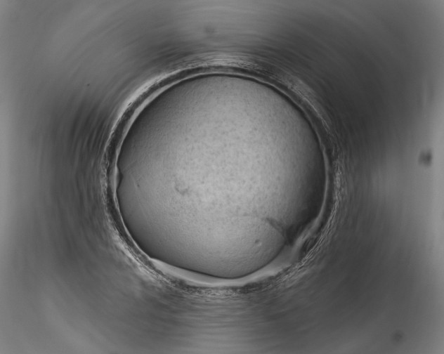 X0000115791024200911271222