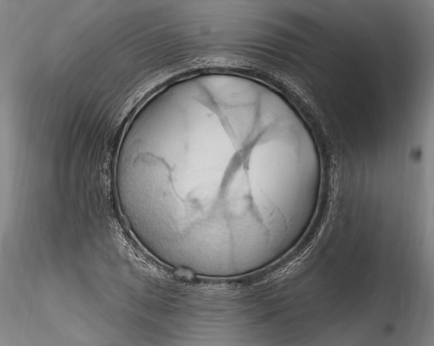 X0000115791025200911271222