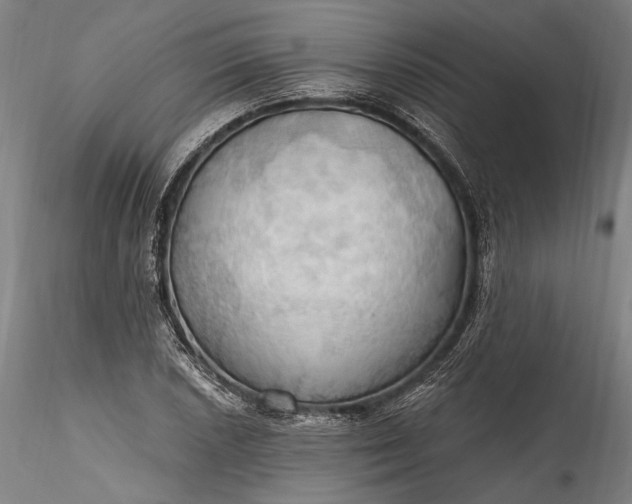 X0000115791026200911271222