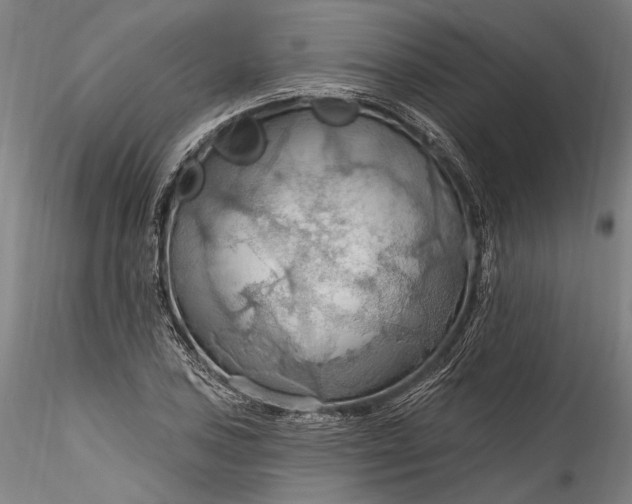 X0000115791027200911271222