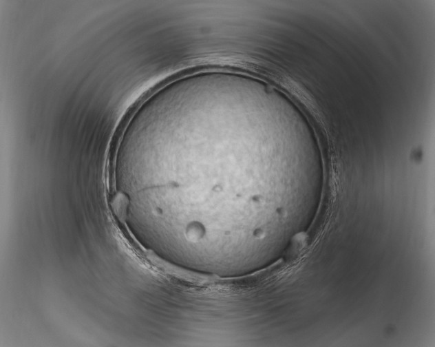 X0000115791028200911271222