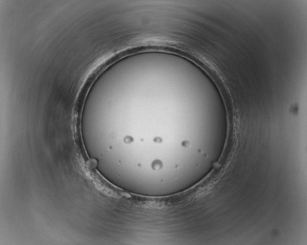 X0000115791029200911271222