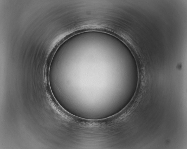 X0000115791030200911271222