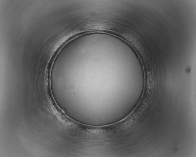 X0000115791031200911271222