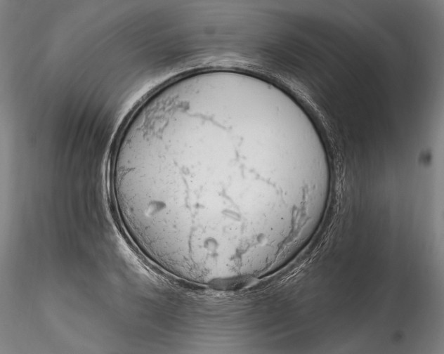 X0000115791032200911271222