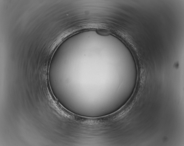 X0000115791033200911271222