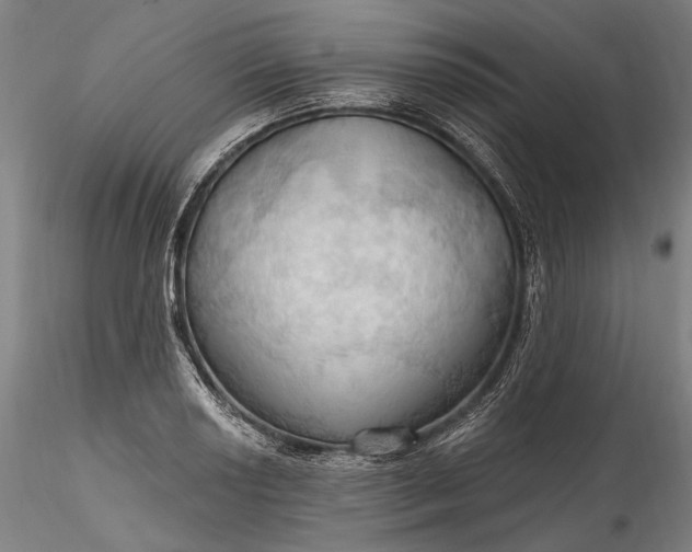 X0000115791034200911271222