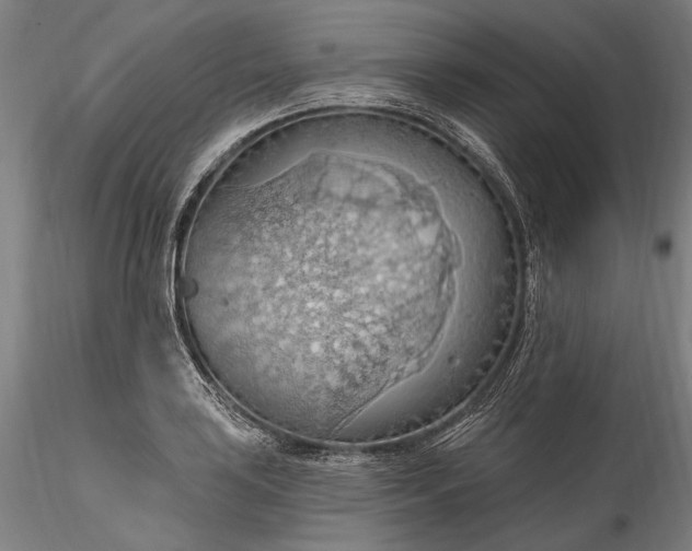 X0000115791035200911271222