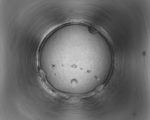 X0000115791036200911271222