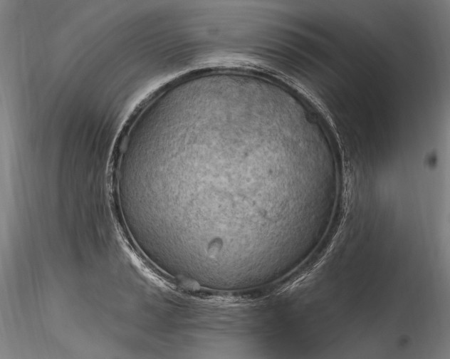 X0000115791037200911271222