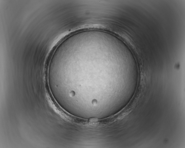 X0000115791038200911271222