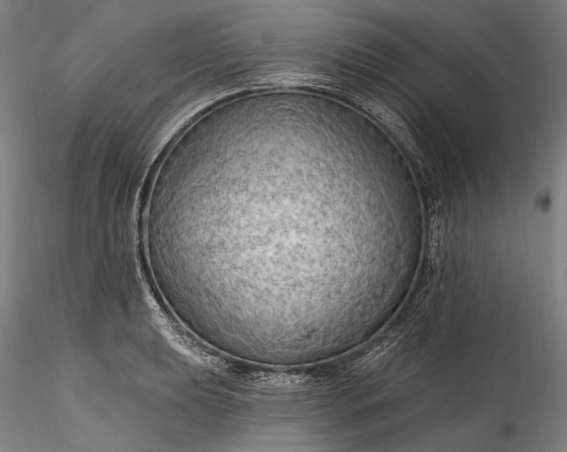 X0000115791039200911271222