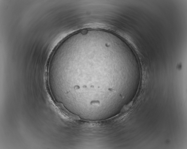 X0000115791040200911271222