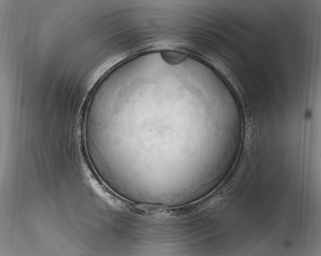 X0000115791042200911271222