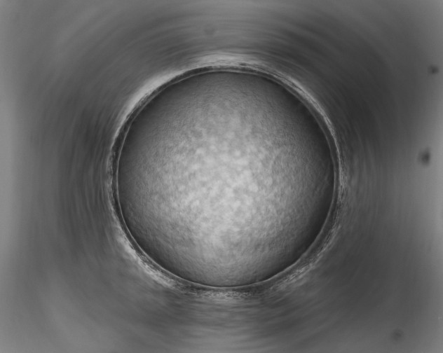 X0000115791045200911271222