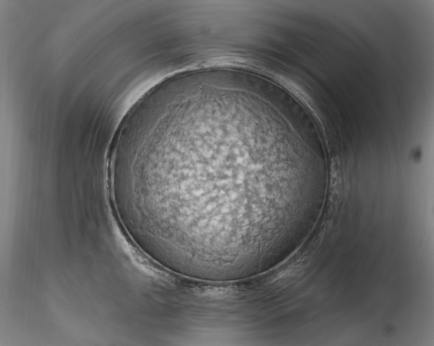 X0000115791047200911271222