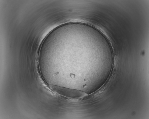 X0000115791048200911271222