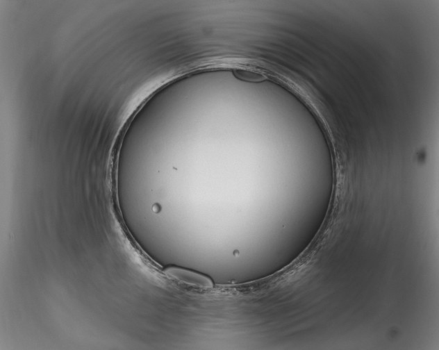 X0000115791050200911271222