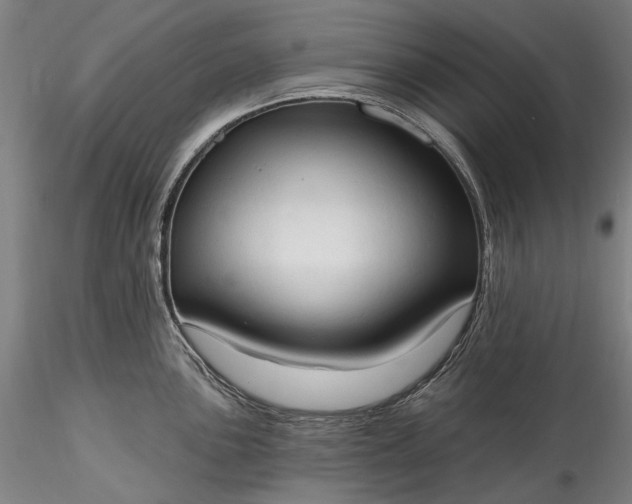 X0000115791051200911271222